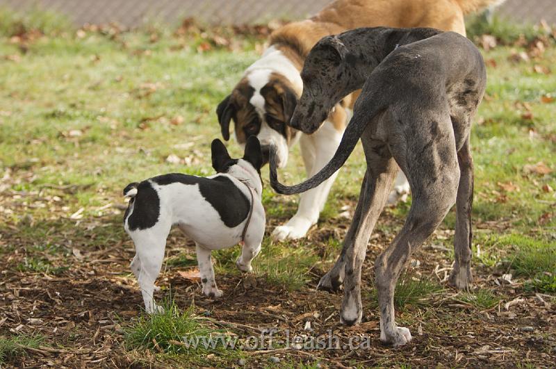 That was just too funny!