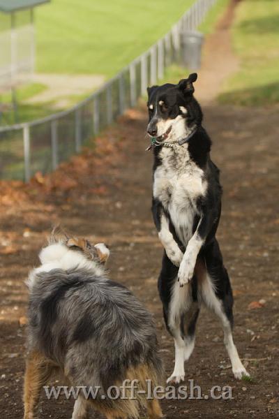 I am taller than you