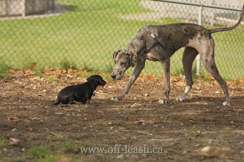 From this photo I am not sure which on is scared more