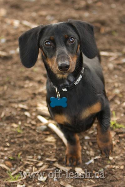 Jeter now has some powerful friends..